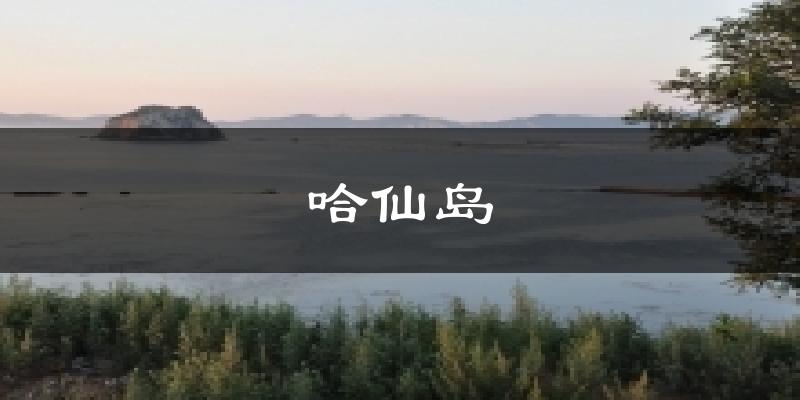 哈仙岛气温
