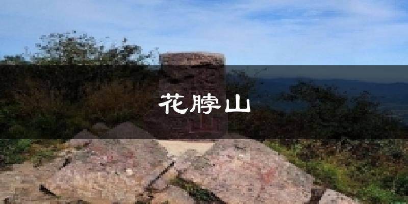 花脖山气温