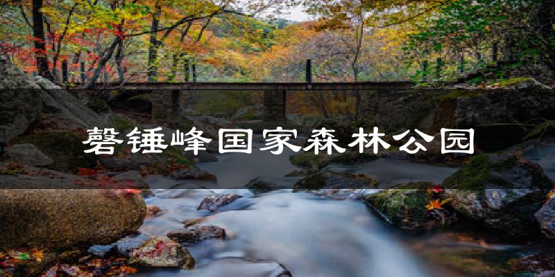 磬锤峰国家森林公园气温