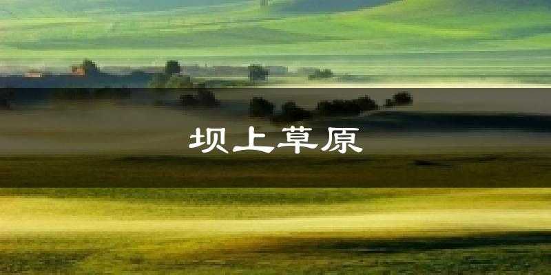 坝上草原今日天气