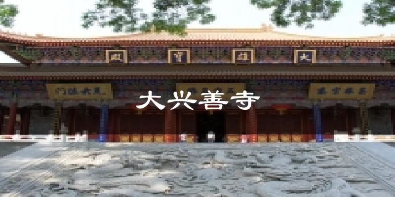 大兴善寺气温