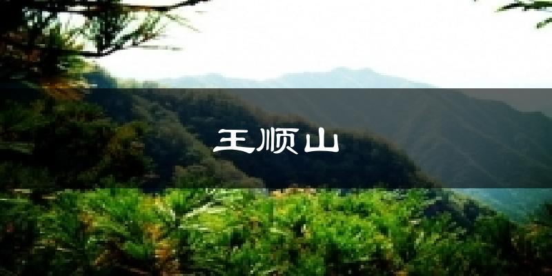 王顺山今日天气