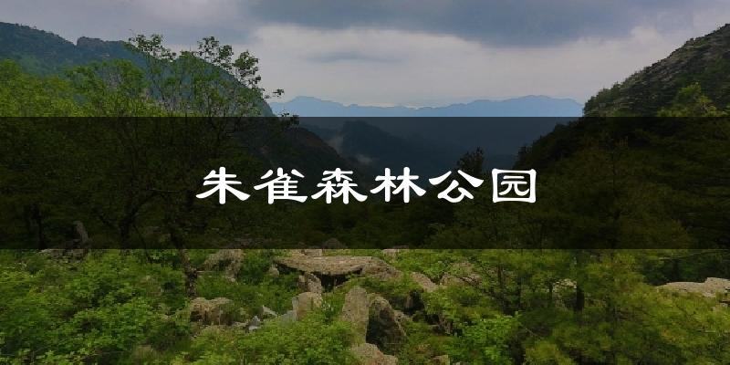 朱雀森林公园气温