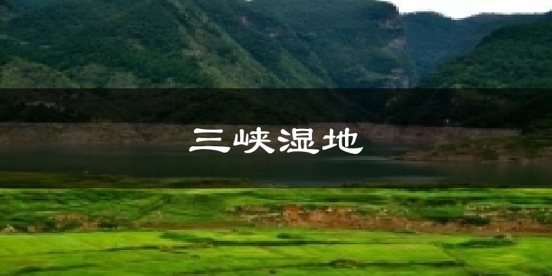 三峡湿地今日天气