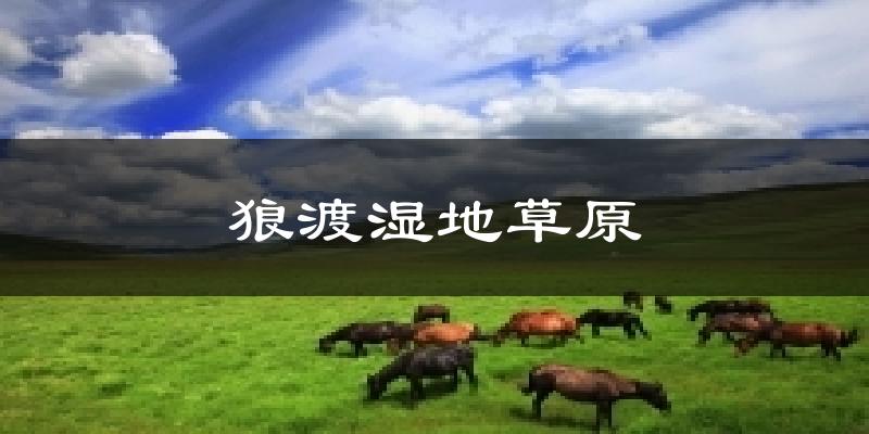 狼渡湿地草原天气预报十五天