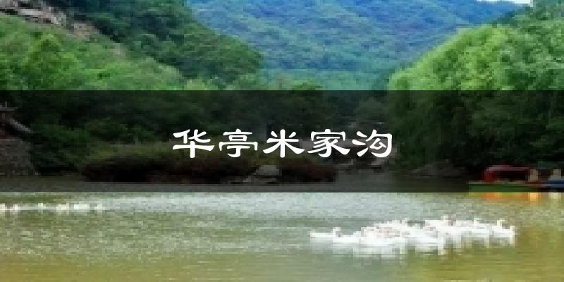华亭米家沟今日天气