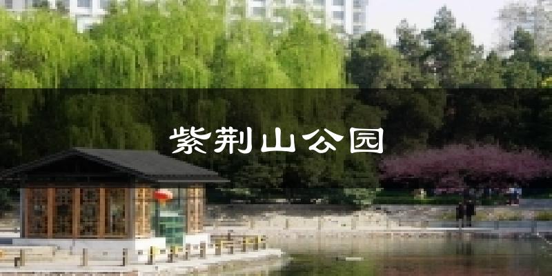 紫荆山公园今日天气