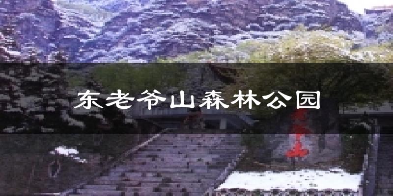 东老爷山森林公园今日天气