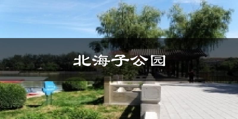 北海子公园气温