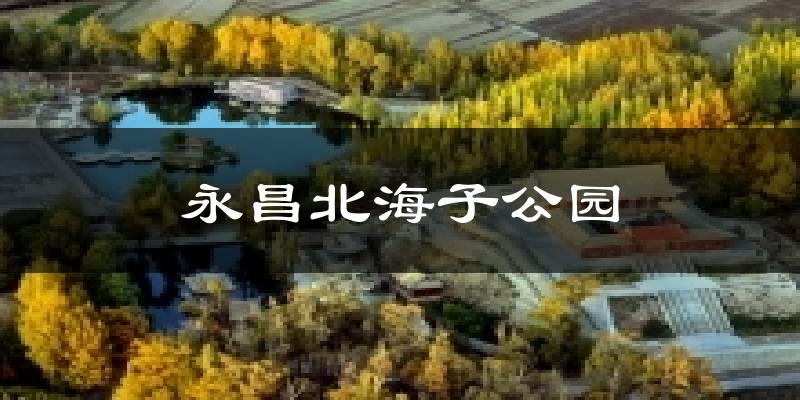 永昌北海子公园今日天气