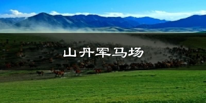山丹军马场气温
