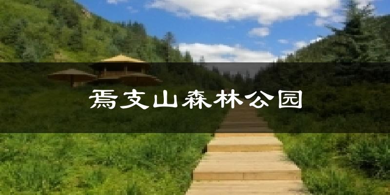 焉支山森林公园气温