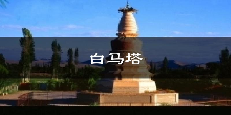 白马塔今日天气