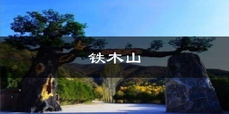 铁木山气温