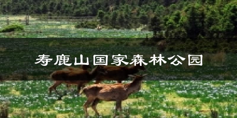 寿鹿山国家森林公园今日天气