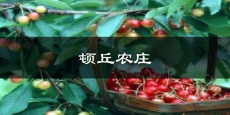 顿丘农庄今日天气